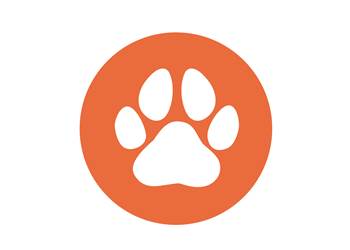 ICO^NE SITE - _2