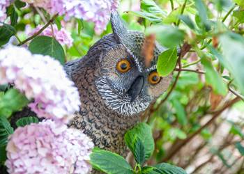 L'Heure Bleue•2020-07-10_Pidz-124•WEB