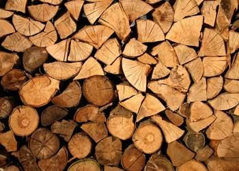wood-1846059_1920