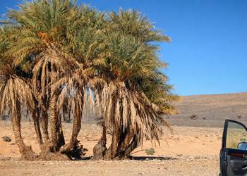 Petite pause pendant un circuit en 4x4