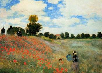 poppies-special-offer