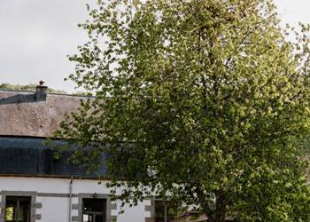 Schermafbeelding 2025-11-06 111947