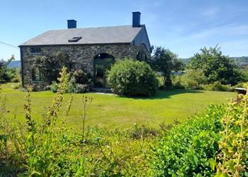 393974442-special-offer