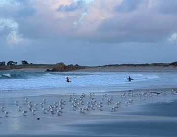 Session Surf depuis la plage de notre gîte de Tréompan