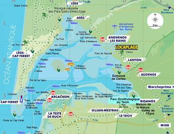 locaplage au coeur du Bassin d'Arcachon