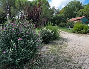 Douceur d'automne