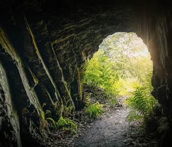 cave54386201920