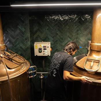 beer-7616192_1280