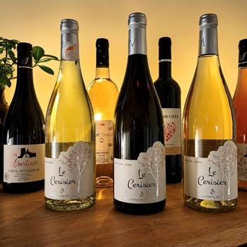 Vignoble vendéen