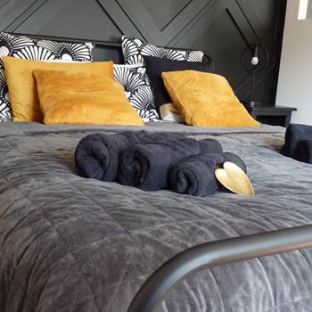 P1050143-special-offer