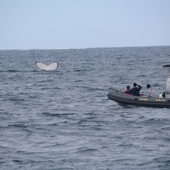 Capture d’e´cran 2025-05-12 a` 14.12.53