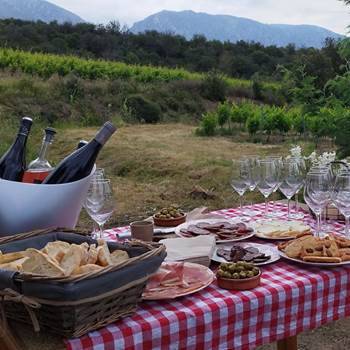 VIGNERON D'UN JOUR- OENOTOURISME.jpg