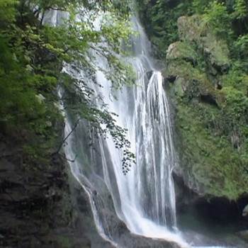 32f976e9-8eb7-4878-87f9-1a9112980146