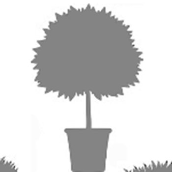 00_IM-DEFAUT-JARDIN-img-around