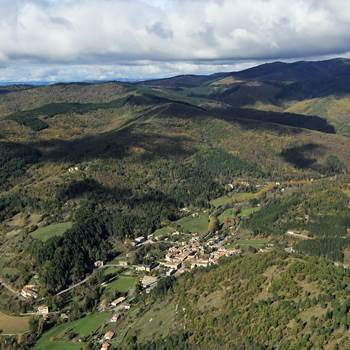 15177_Alzon_071113