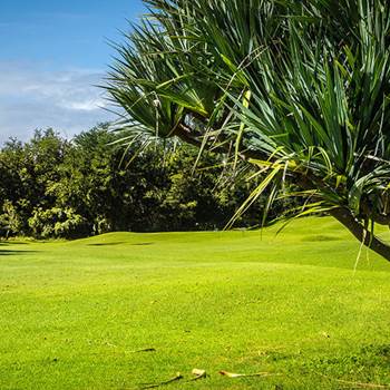 86c96_5-5-1-img-around