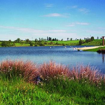 48b17fca-bd04-4936-9ae2-3756ee96eae0-img-around