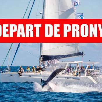 Baleine de´part de prony