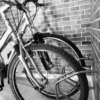 348368981_6322841407804606_3880347436558744789_n-options