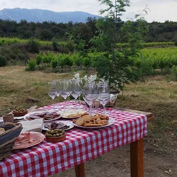 VIGNERON D'UN JOUR
