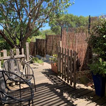La petite terrasse s'ouvre sur le vieil amandier-presta