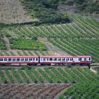 Train-Rouge-autorail-vignes-et-Corbieres-SET2A