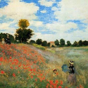 poppies-presta