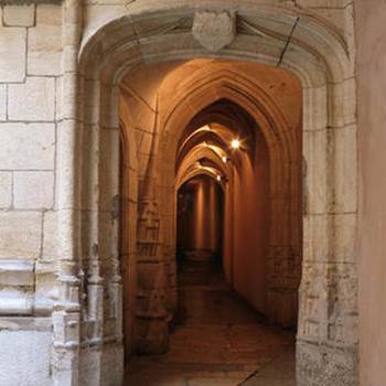 e46131ee-d205-4912-a4c0-2b8be062a3d6-img-around