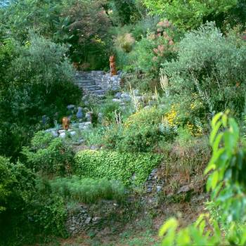 8.visite.jardin.sambucs.aigoual.cevennes.nature