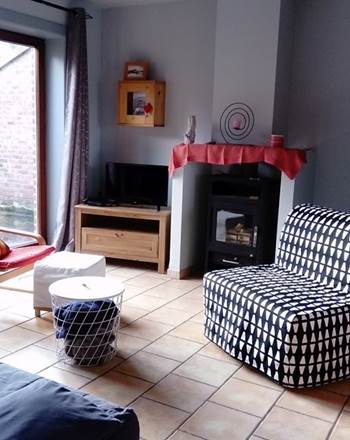 salon avec feu au bois