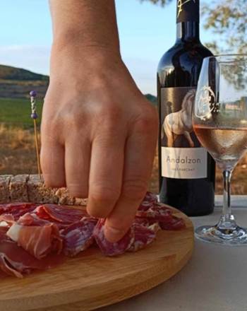 Dégustation de vin et tapas au Mas Farchat