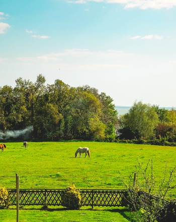 Côté Sud : Vue de la chambre sur la campagne, les chevaux et la baie de La Forêt-Fouesnant et au loin les îles Glénan selon météo