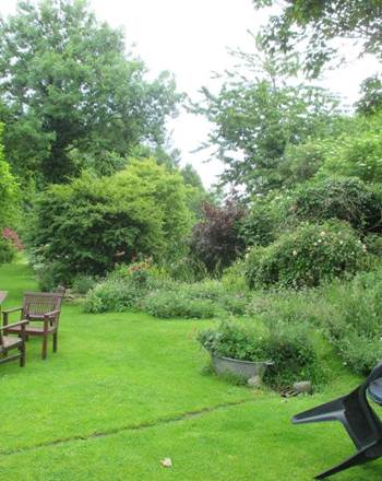 vue sur le jardin