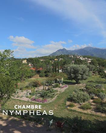 CASTELLROSE-Nympheas-14