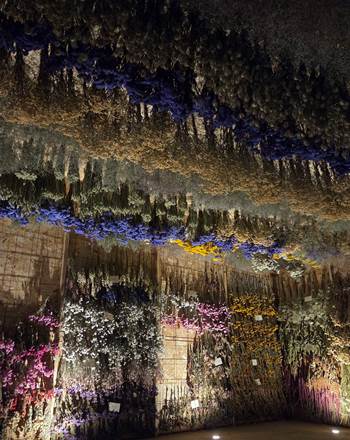 Séchoir de fleurs séchées magique au coeur du Gers