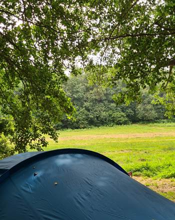 semi sauvage kijkje vanaf tent veld op 1