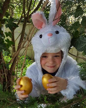 le lapin a trouvé les œufs
