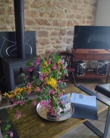 Salon avec poêle