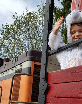 lapin du train des œufs