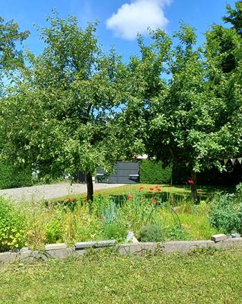 jardin avec parking