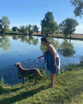 La baignade pour  les toutous