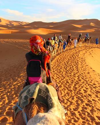 excursion dromadaire