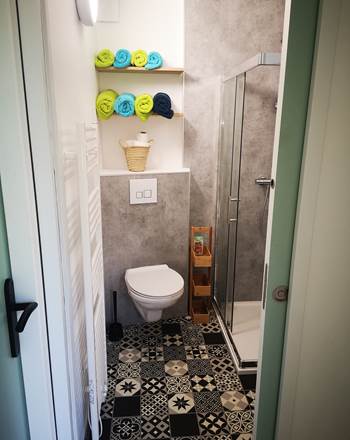 salle de bain douche lavabo et WC