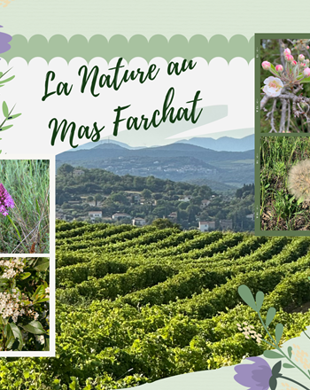 La Nature au Mas Farchat