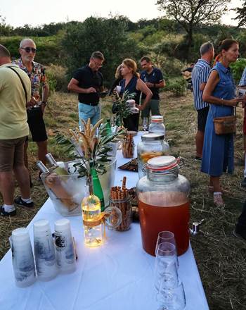 dîner dans les vignes 1