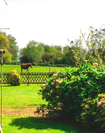 Côté Sud : Jardin clôturé avec vue sur les chevaux
