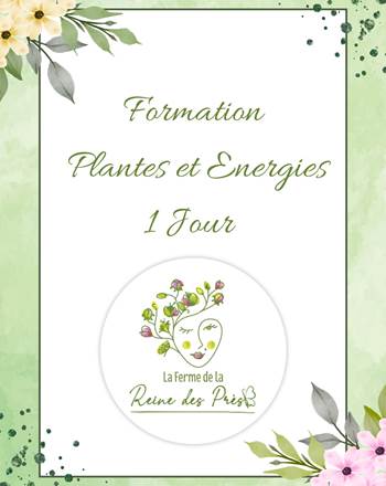 1 jour