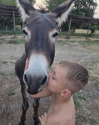 calin avec Dinky