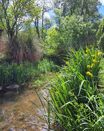 Le Moulin Etourneau - La Villa des Lettres, gîte de caractère et spacieux pour 14 personnes