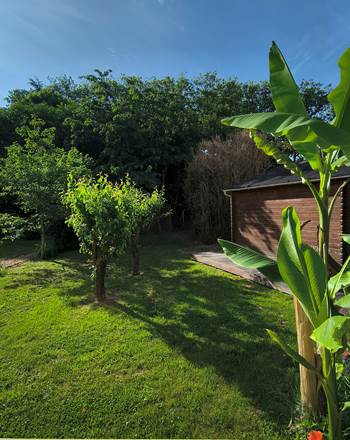 Vue sur le jardin arboré depuis la chambre d'hôtes familiale proche de La Flèche